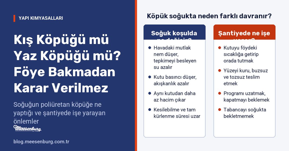 Kış Köpüğü mü Yaz Köpüğü mü? Föye Bakmadan Karar Verilmez